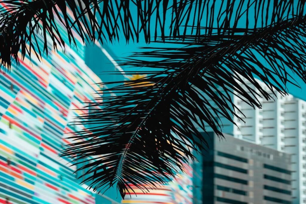 Tropical Modernism o Coastal Contemporary en Miami: qué puedo elegir 10 En qué zonas de Miami domina cada uno